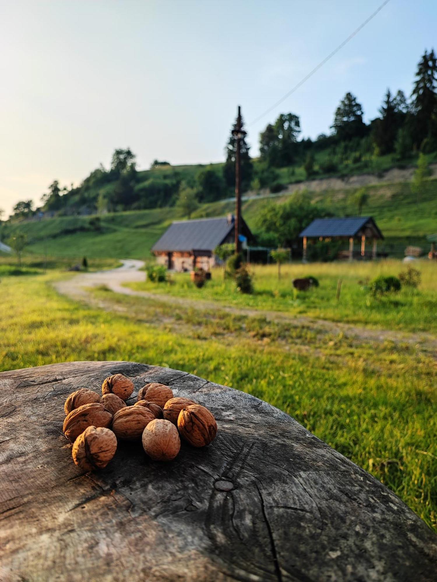 Etno Vodenica Cirovic - Ethno Watermill Hotell Pljevlja Eksteriør bilde