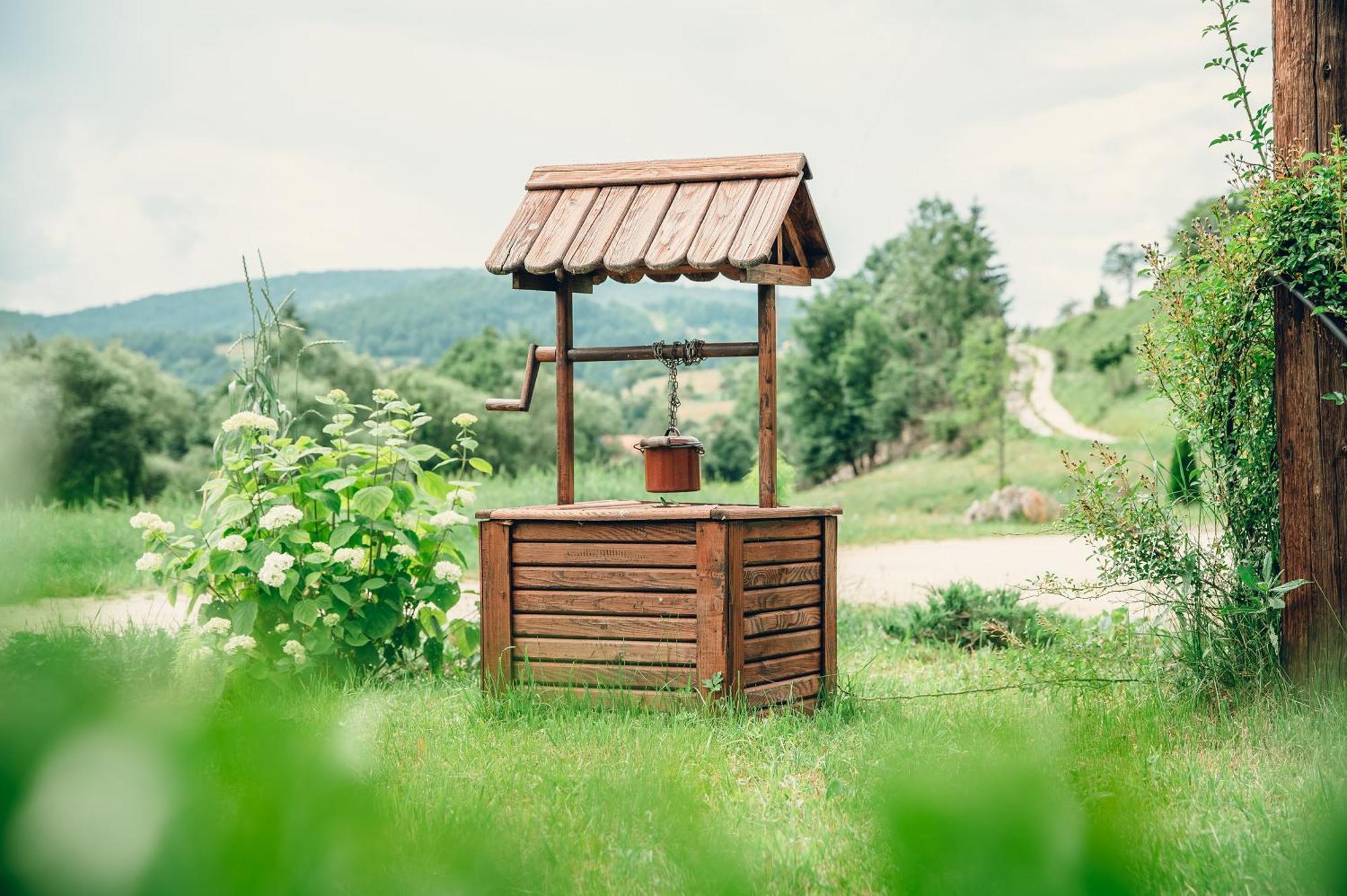 Etno Vodenica Cirovic - Ethno Watermill Hotell Pljevlja Eksteriør bilde